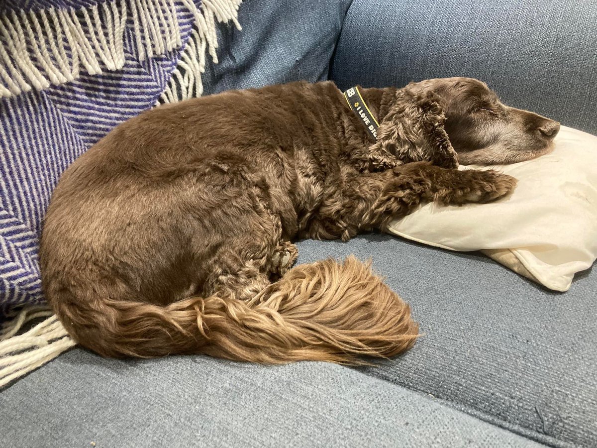 James Lake tweet media