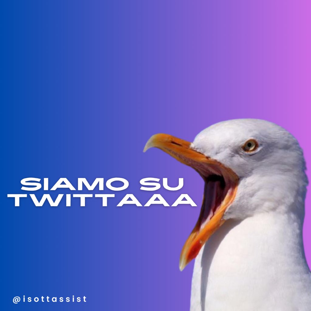 isottassist's tweet image. AAAAAAAAAA 
siamo su Twitter, o meglio X
qualcuno ci dice come si pronuncia?

#calciofemminile #womensfootball