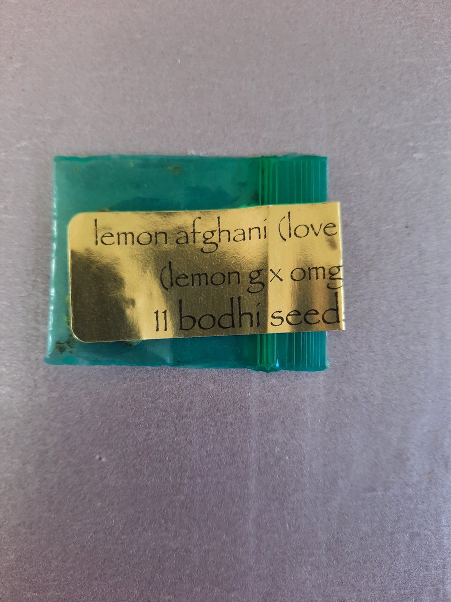 DCSeedExchange's tweet photo. Seeds for a buck? WTF?!
Weekend auctions are back:
https://t.co/RvN6m8f0LS
#dcseedexchange #mmjseeds #cannabisseeds #cannabiscommunity #seedauction https://t.co/LwOtB3gpMk