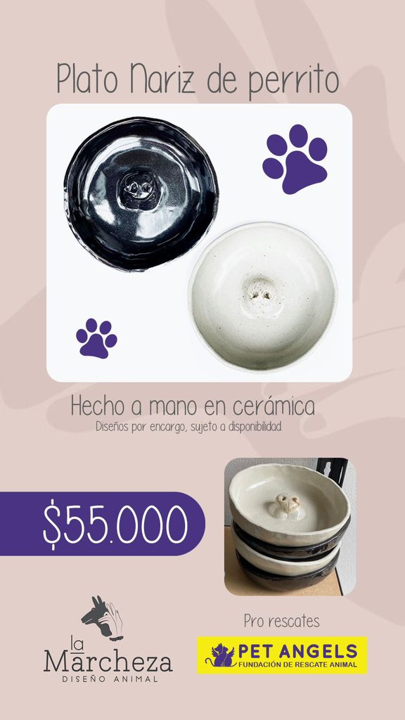 PetAngelsCol 🐱🐶 tweet media