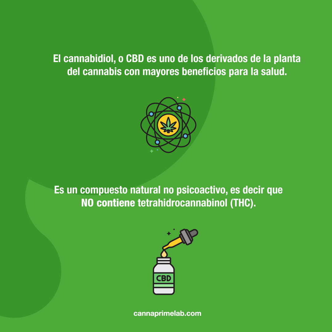 CannaPrime tweet media