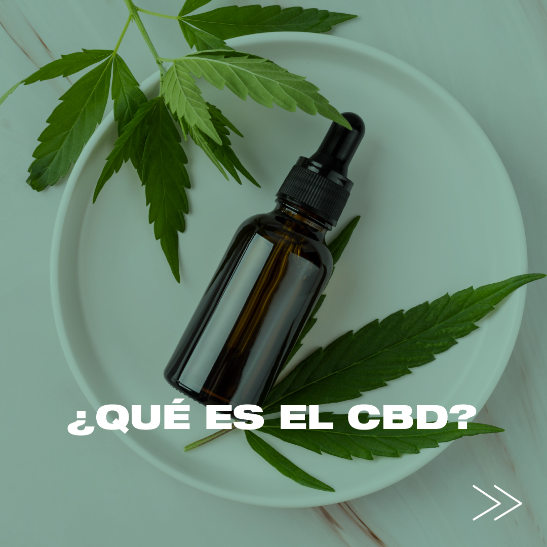 CannaPrime tweet media