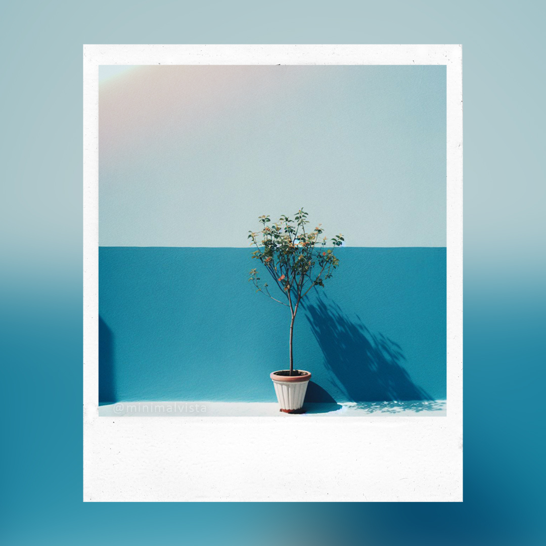 minimalvista's tweet photo. "You have succeeded in life when all you really want is only what you really need." - Vernon Howard

#minimalism #minimalmood #ig_mnms #realgoodmag #Raw_minimal #minimalphotography #polaroid @incredible_minimal @scatto_minimal #photooftheday #quote https://t.co/WuggBW7qnU