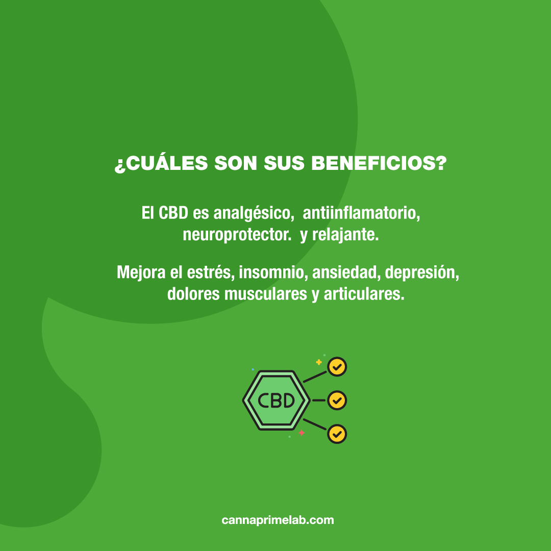 CannaPrime tweet media