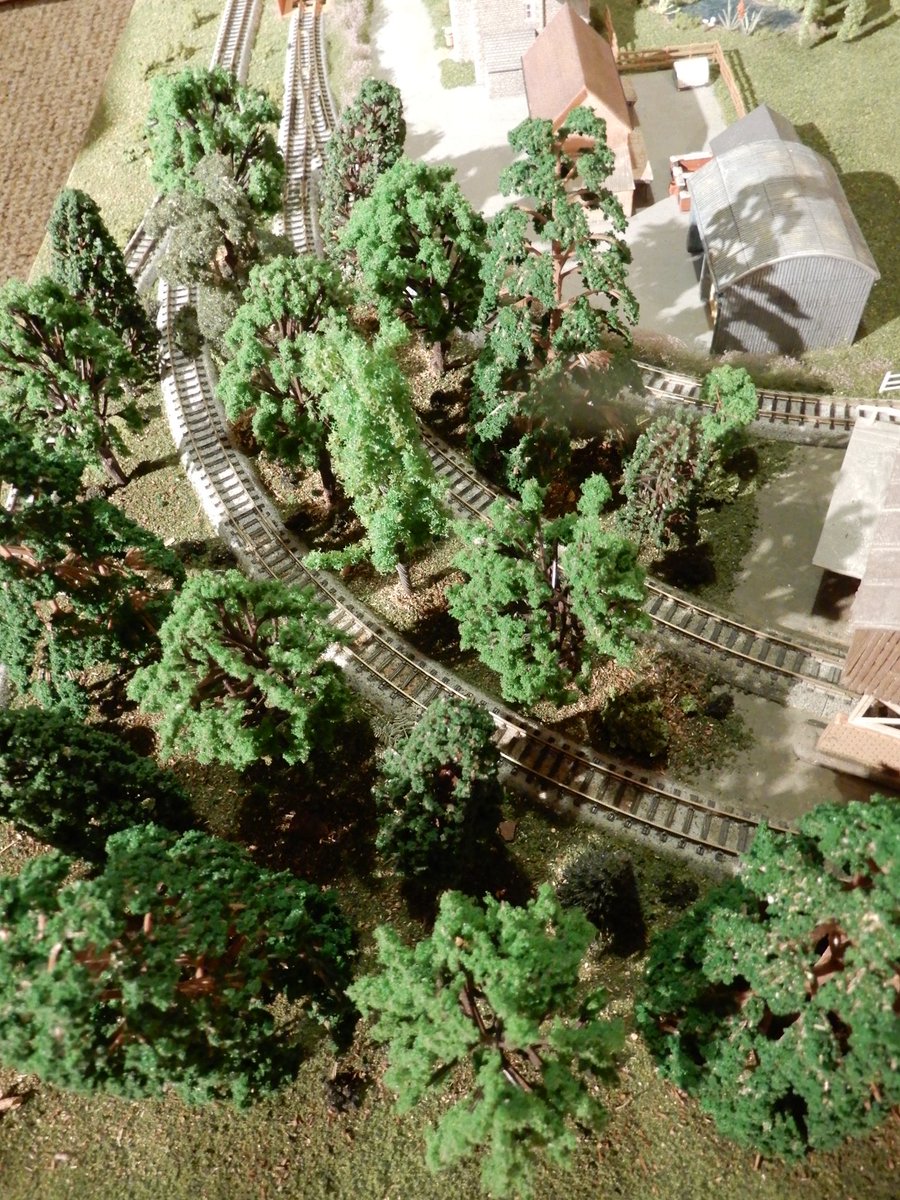 Matedwards7's tweet image. Working on my n scale Thomas the Tank Engine layout again tonight. Added some more trees. I haven’t done it here but a trick often employed by model railway enthusiasts is to have the smaller trees at the back of the layout to give a sense of distance. #modeltrains #modelrailways