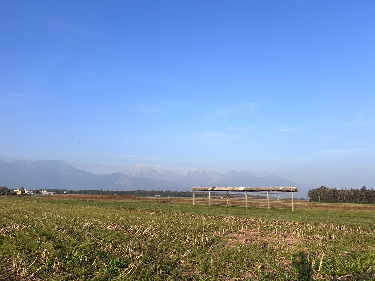 an_april04 tweet media