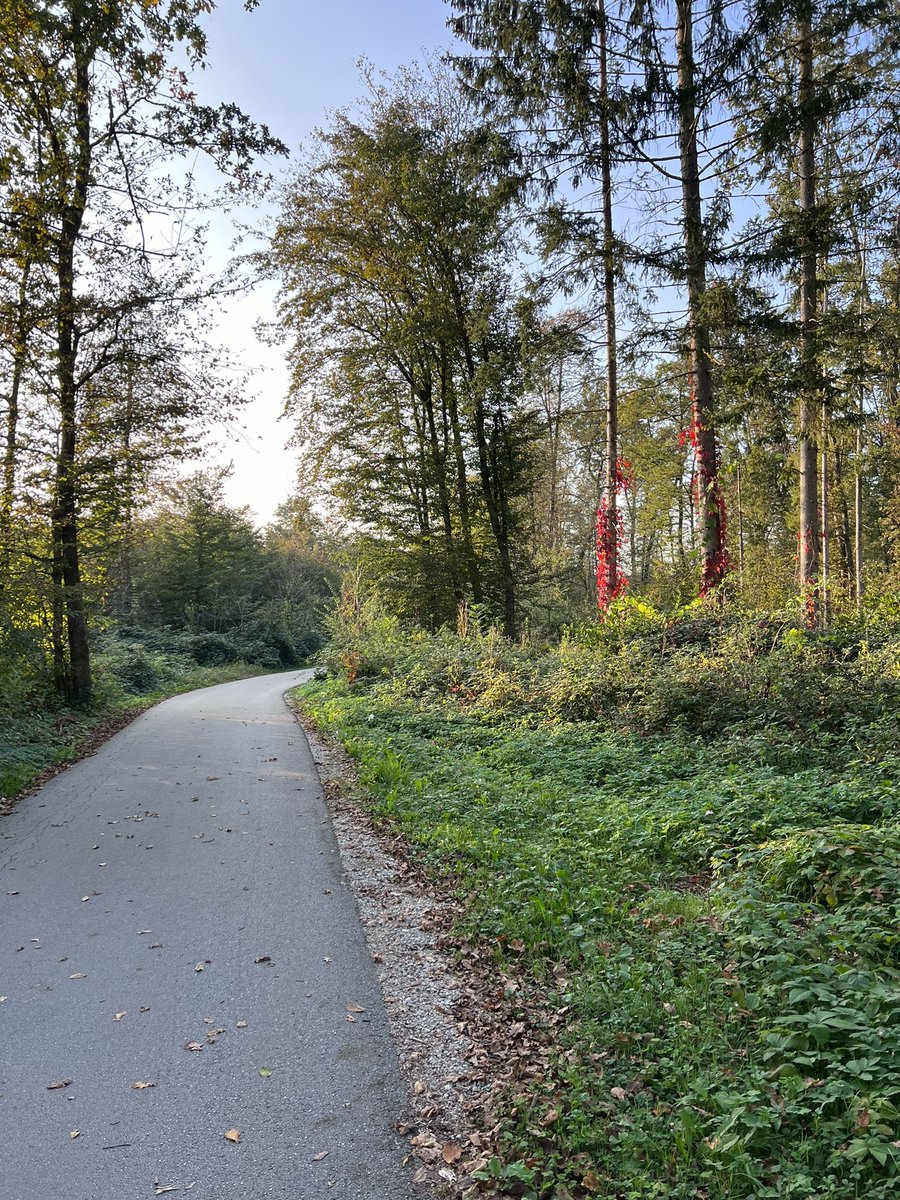 an_april04 tweet media