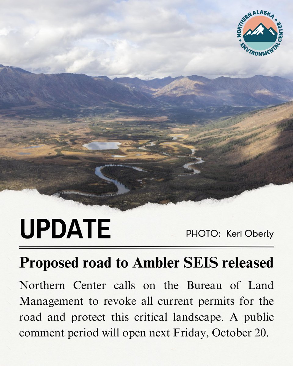 NorthernCenter's tweet photo. Today, a draft supplemental environmental impact study (SEIS) was released for the proposed road to Ambler. https://t.co/xvpIq0Kvlo