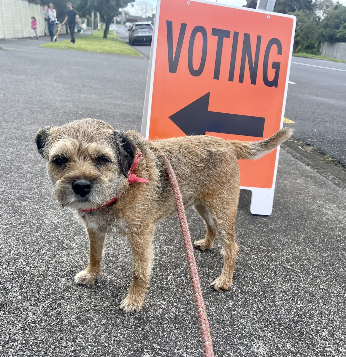 #DogsAtNZPollingStations #DogsAtPollingStations #nzelection