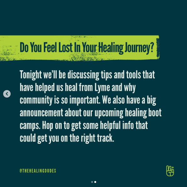 Peter vT tweet media