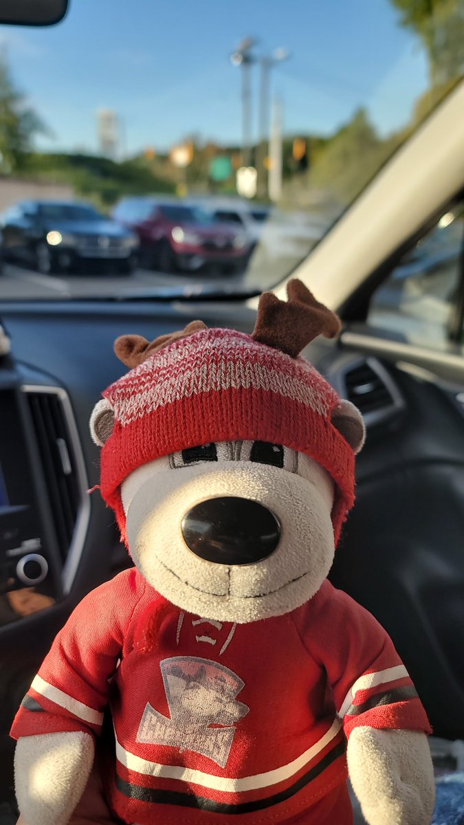 hwjacobs88's tweet photo. We're spending our 5th anniversary with you @ChubbyBear00 ! Come up to upper section 121 and say hey during the game! https://t.co/75CqIsDxLJ