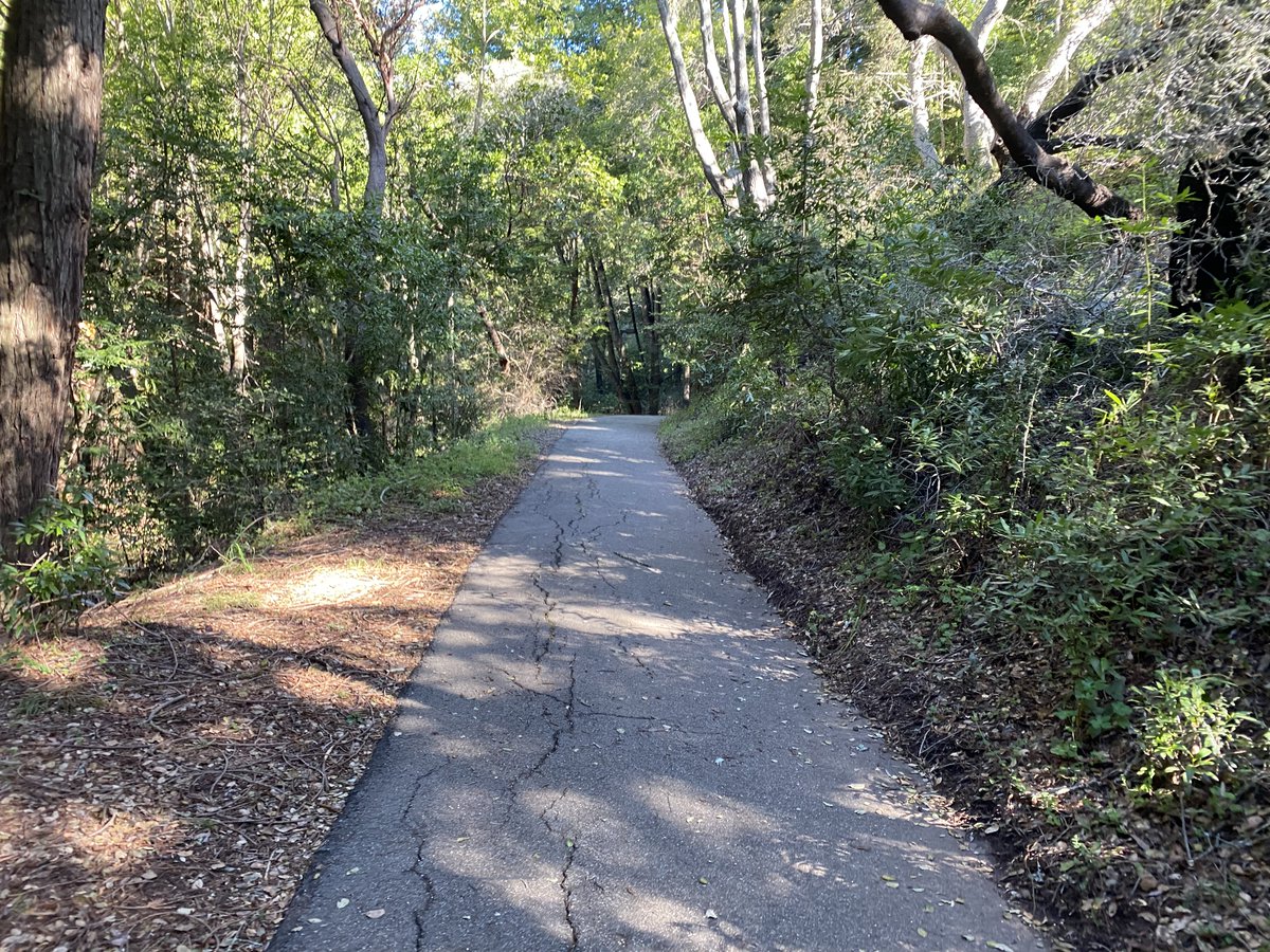 scott beamer (@sbeamer@discuss.systems) tweet media