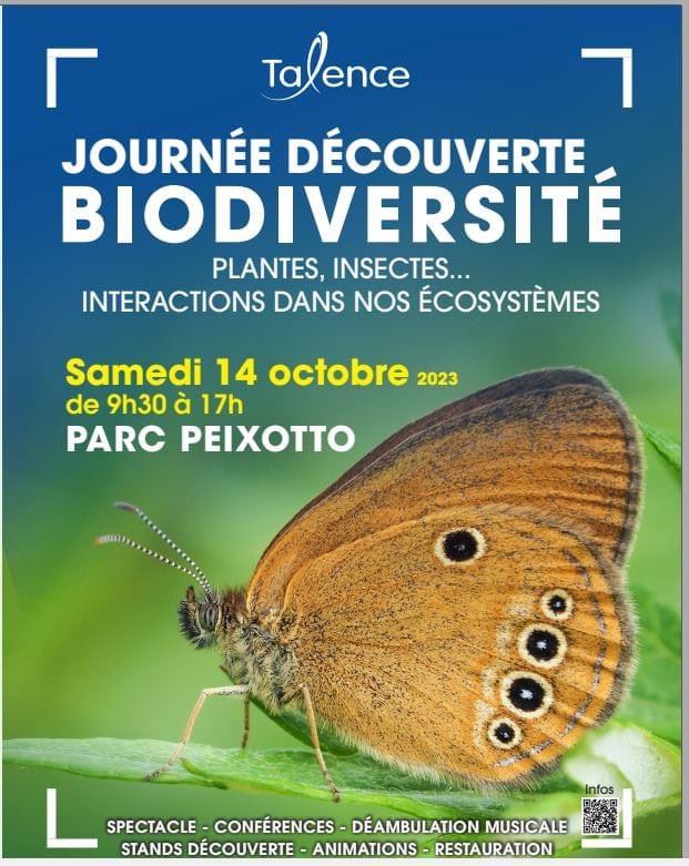 Isabelle Balligand tweet media