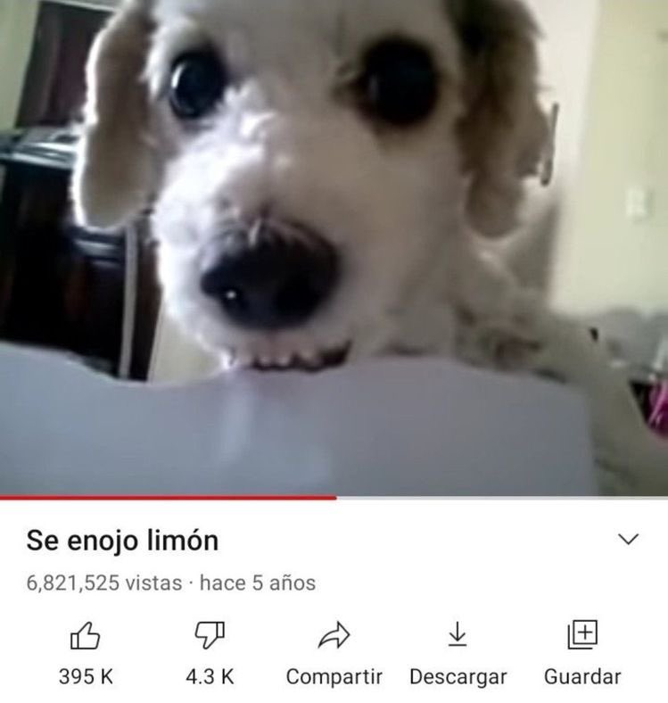 como odio compartir a mis personas favoritas