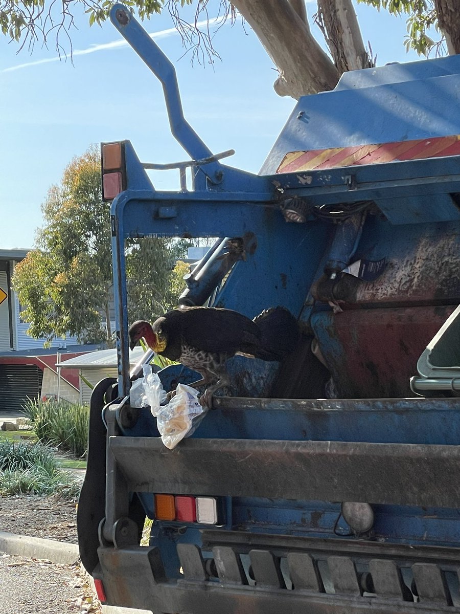 Charles Foster tweet media