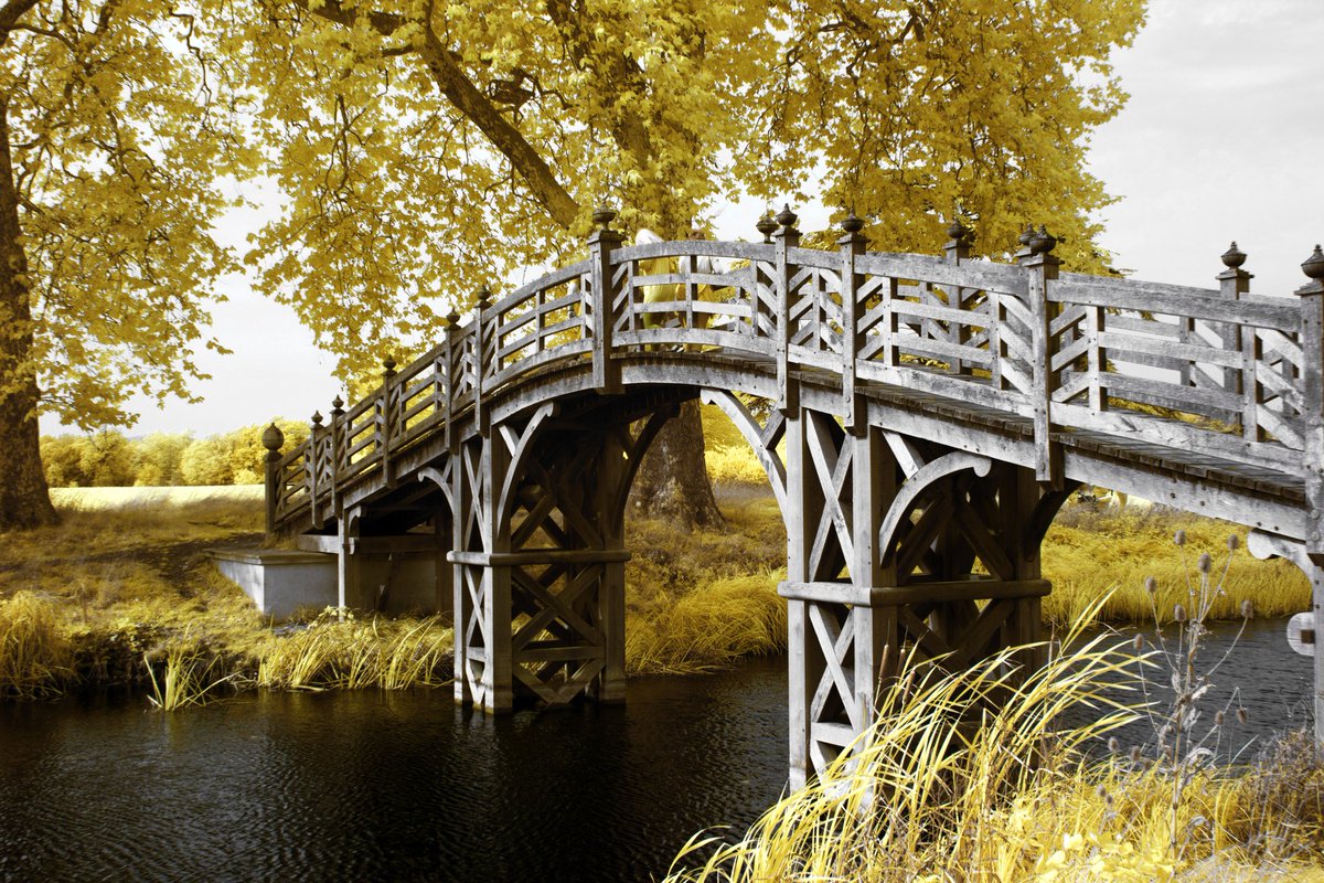 Cmdr_Zer0axis's tweet image. Some Infra from last weekend 📸 #infrared #infraredphotography #colorinfrared #croomecourt