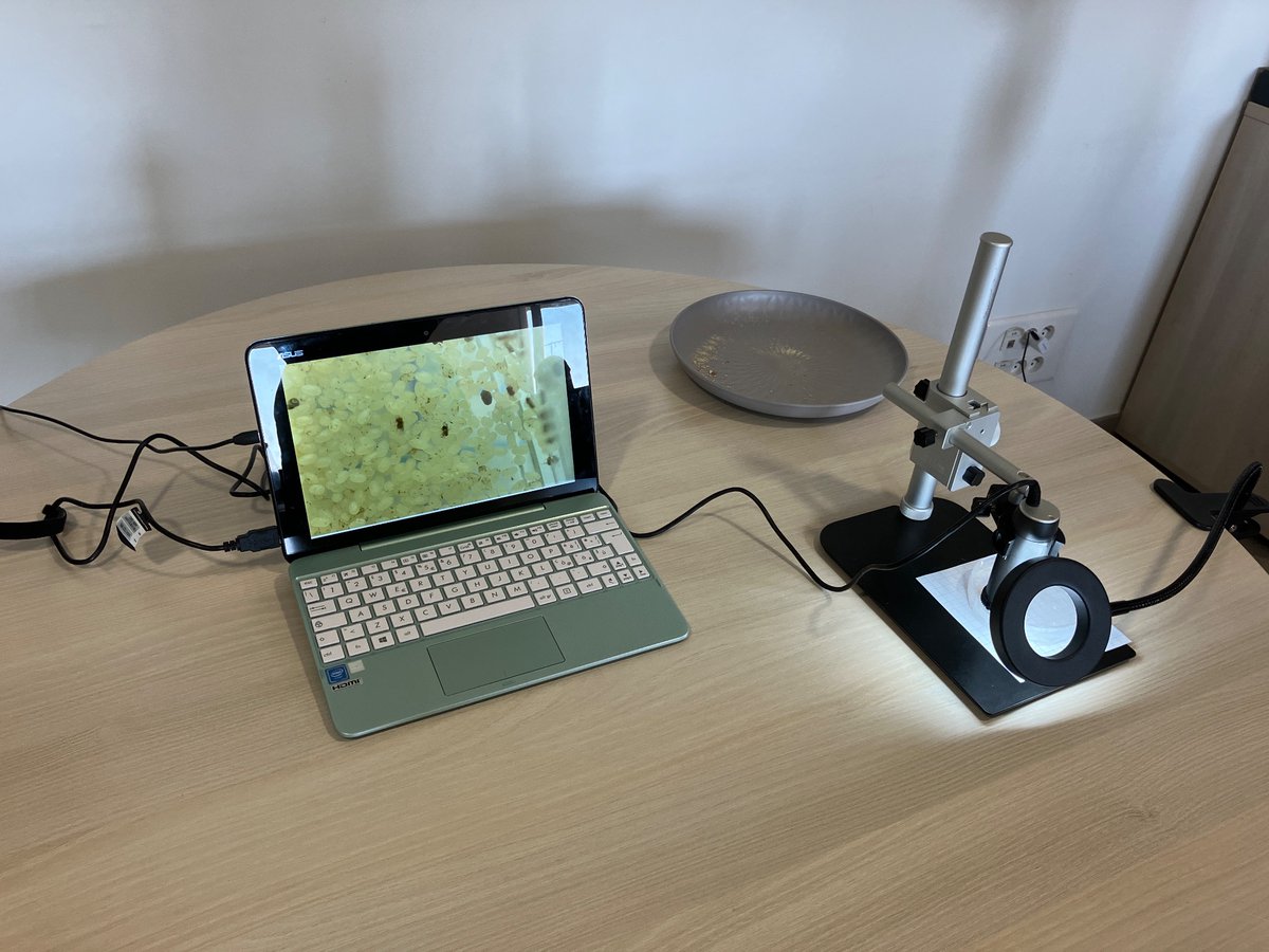JanMol_90's tweet photo. In de afgelopen dagen hebben we met @iperen_nl een bezoek gebracht aan de productielocatie van @Bioline_AS_Int in Livron; onder de indruk van de productie, nieuwe ideeën en technologie! #cultivatingbioalliances #biologie https://t.co/rKzym9XiGN