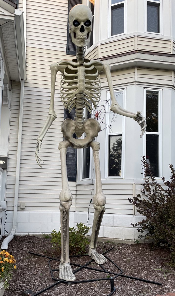 Josh McCabe tweet media