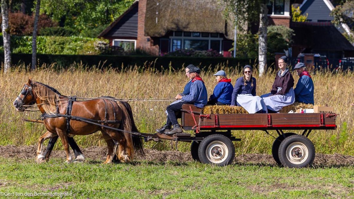 De  vrijwilligers van de Blaricumse Dag van het Werkpaard hebben de Emil Ludenpenning 2023 gewonnen. Als <a href="/Gem_Blaricum/">Gemeente Blaricum</a> zijn wij het daar natuurlijk van harte mee eens!