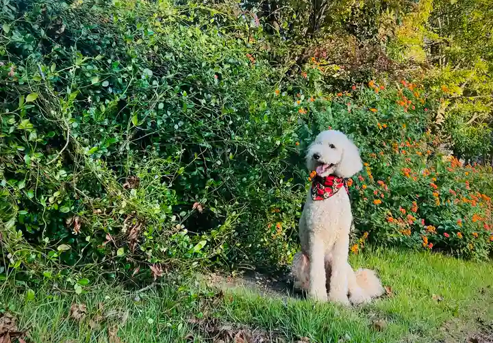 Larry William (@larry_will3059) on Twitter photo 