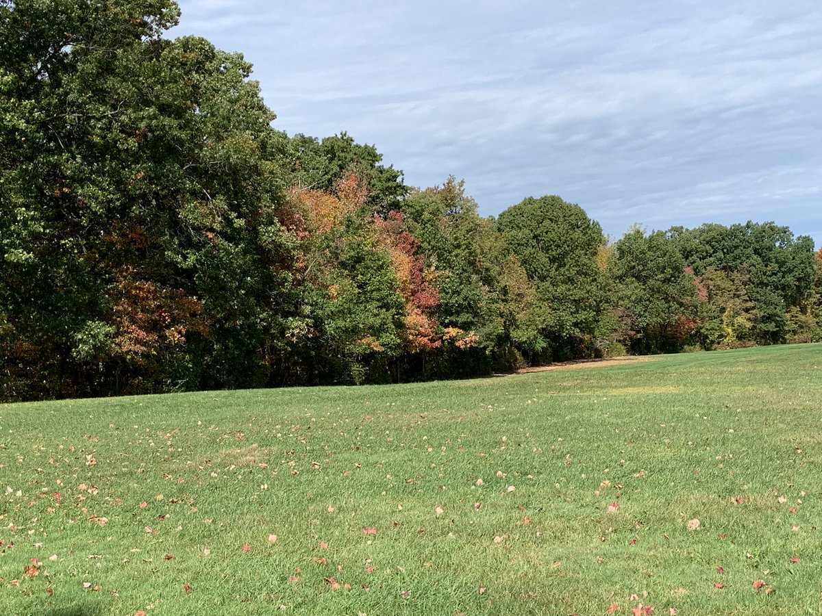 MrGriffisSHS's tweet photo. Some more pics! What a great day and awesome to see kids just play outside with nothing but with each other! #imagination #itsfall https://t.co/7gHXsLwByK