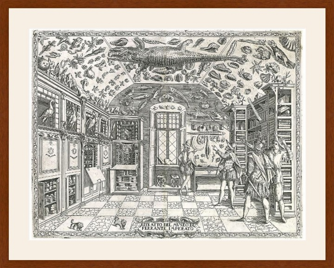 1590's Cabinet Of Curiosities | An engraving that is thought to be the earliest illustration of a natural history cabinet | Ferrante Imperato’s Dell’historia Naturale | Archival Print zazzle.com/1590s_cabinet_… #museum #museums #print #CabinetOfCuriosities #zazzlemade #history
