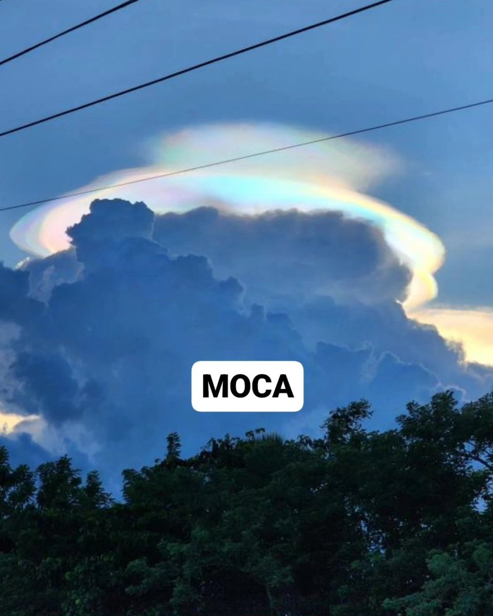 🔴FENÓMENOS🔴 Esta tarde se ha formado una nube iridiscente en el norte de República Dominicana debido al tránsito de un frente frío al norte del Caribe: son fragmentos de hielo en la cima de una nube cumulonimbus que se reflejan en múltiples colores. ⚠️El sistema frontal no ha…
