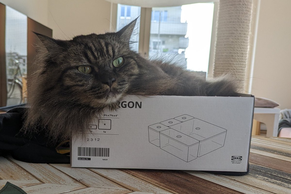 Моноид-тян 🤔 vanillacoder@mastodon.social tweet media