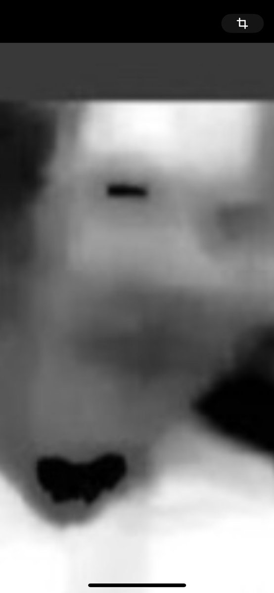jr_imbeault's tweet photo. @elonmusk @MissionToPsyche @NASA Contrôle by the eyes I see https://t.co/48HpY3TTvn