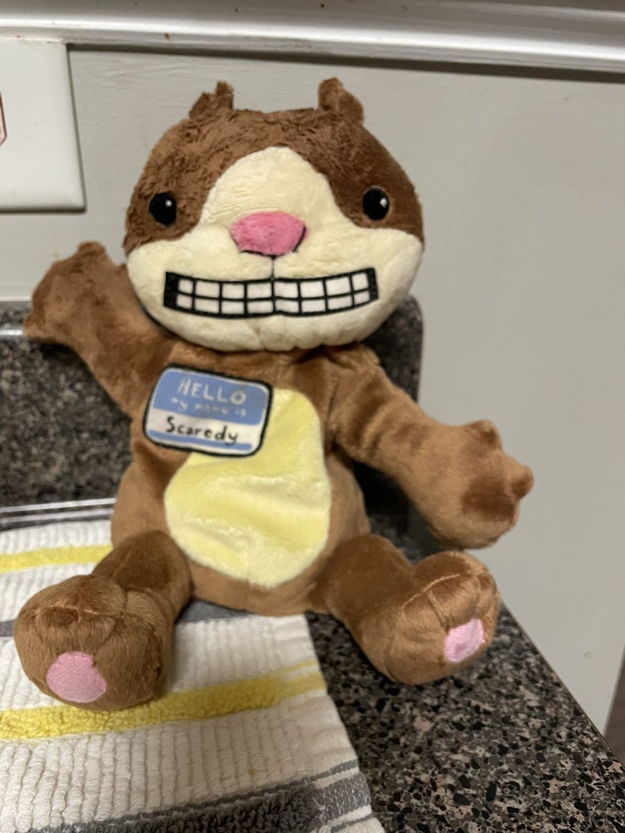 Megan Little Ed. S. -1st grade Husky tweet media