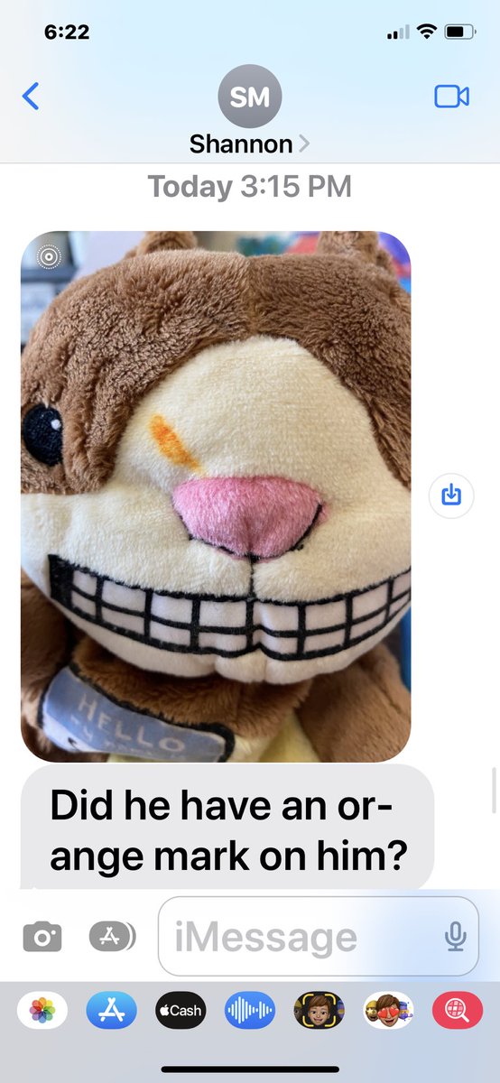 Megan Little Ed. S. -1st grade Husky tweet media