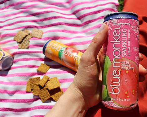 bluemonkeydrink's tweet photo. Flashback to Summer picnics 🌞 

Made even better when your Sparkling Guava Juice matches your blanket 🌸

💙🐒 https://t.co/X7Y2VQrR9D