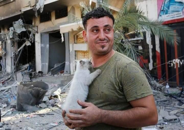 MostafaYugi's tweet image. #GazzeUnderAttack