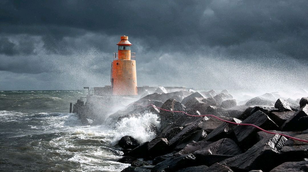 "You cannot swim for new horizons until you have the courage to lose sight of the shore." - William Faulkner