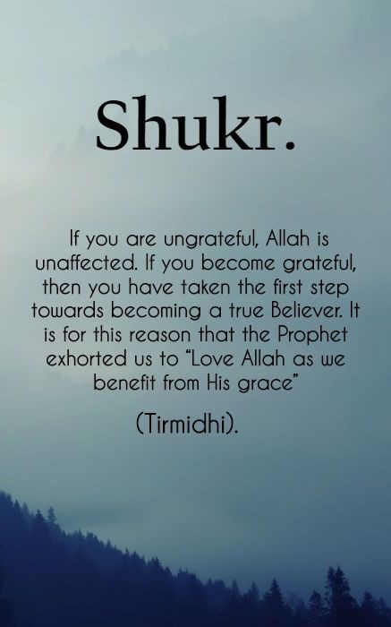 ehsanmajid67's tweet photo. Press like  &amp; Retweet. https://t.co/U1tt1M3jK2