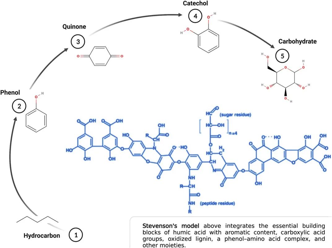 Clinical review of humic acid as an antiviral: Leadup to translational applications in clinical humeomics buff.ly/3Aw1I3U