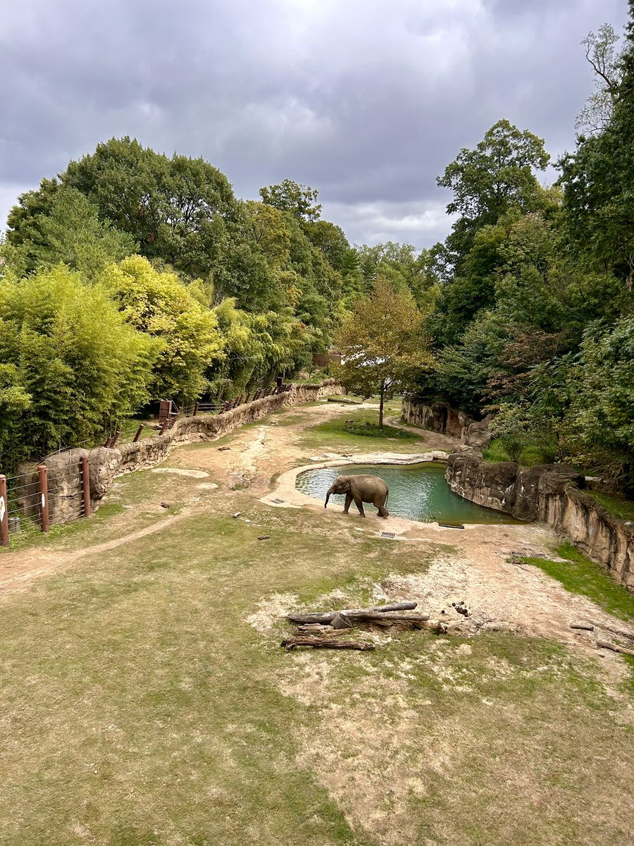 Keybridge Communications tweet media