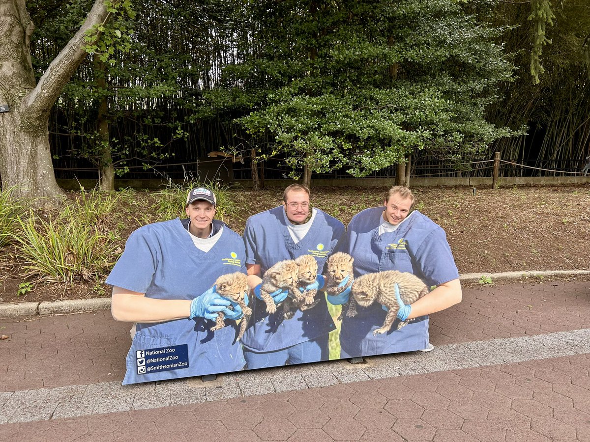 Keybridge Communications tweet media