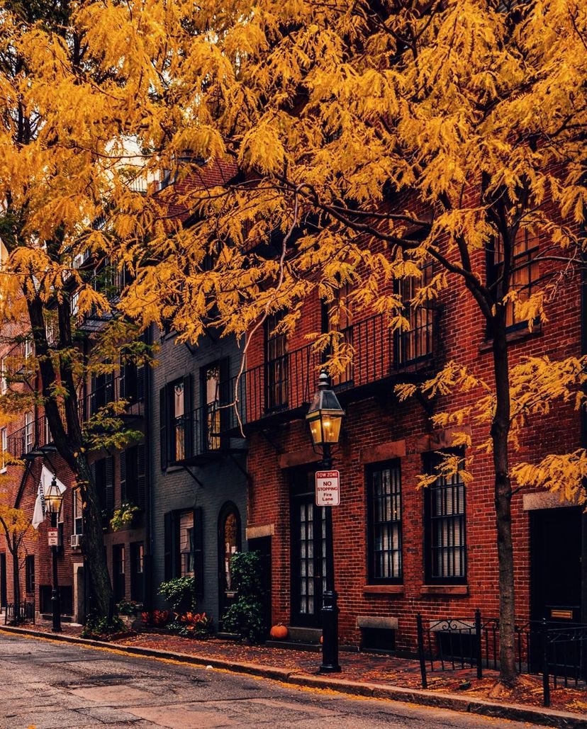 Boston, Massachusetts, USA 🇺🇸 
📸: pocketboston (IG)