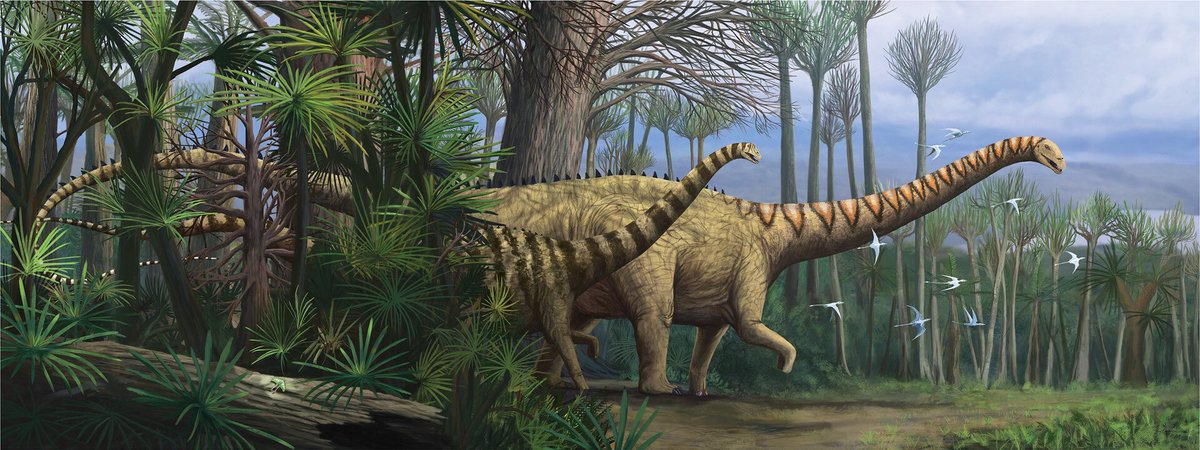 “Two beams”, my print of diplodocus Carnegii will be available, as well as many other great collectable #paleoart will be available at the Society of Vertebrate Paleontology #svp #2023svp #dinosaur #diplodocus