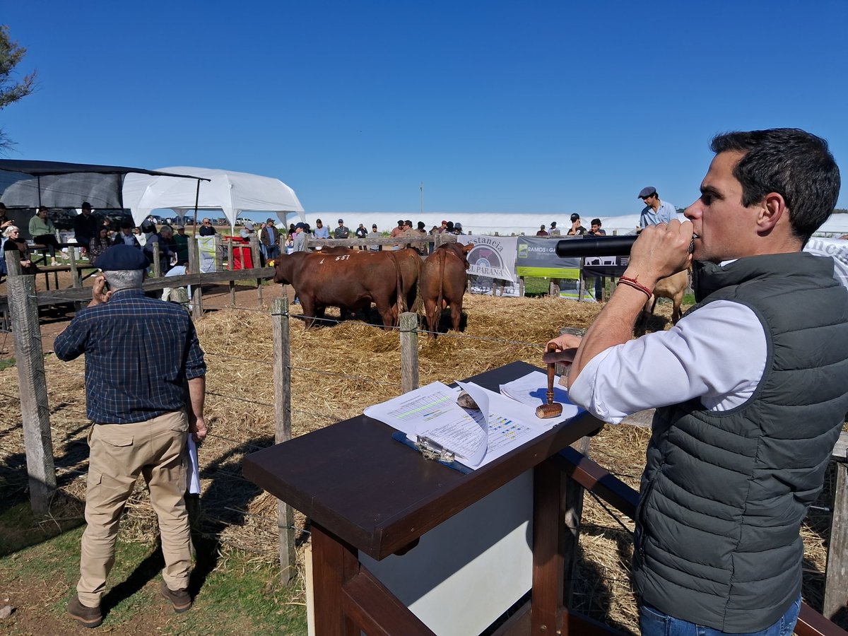 3122 dolares promediaron los Red Angus de Estancia del Parana con <a href="/ramosgarciaagro/">Ramos&Garcia</a>