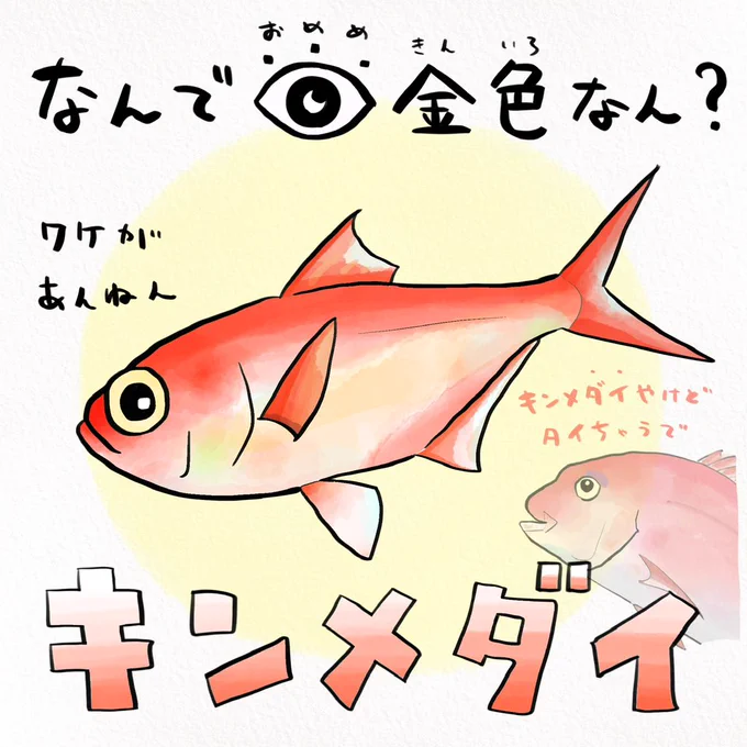 高級魚なのに、昔は捨てられていた