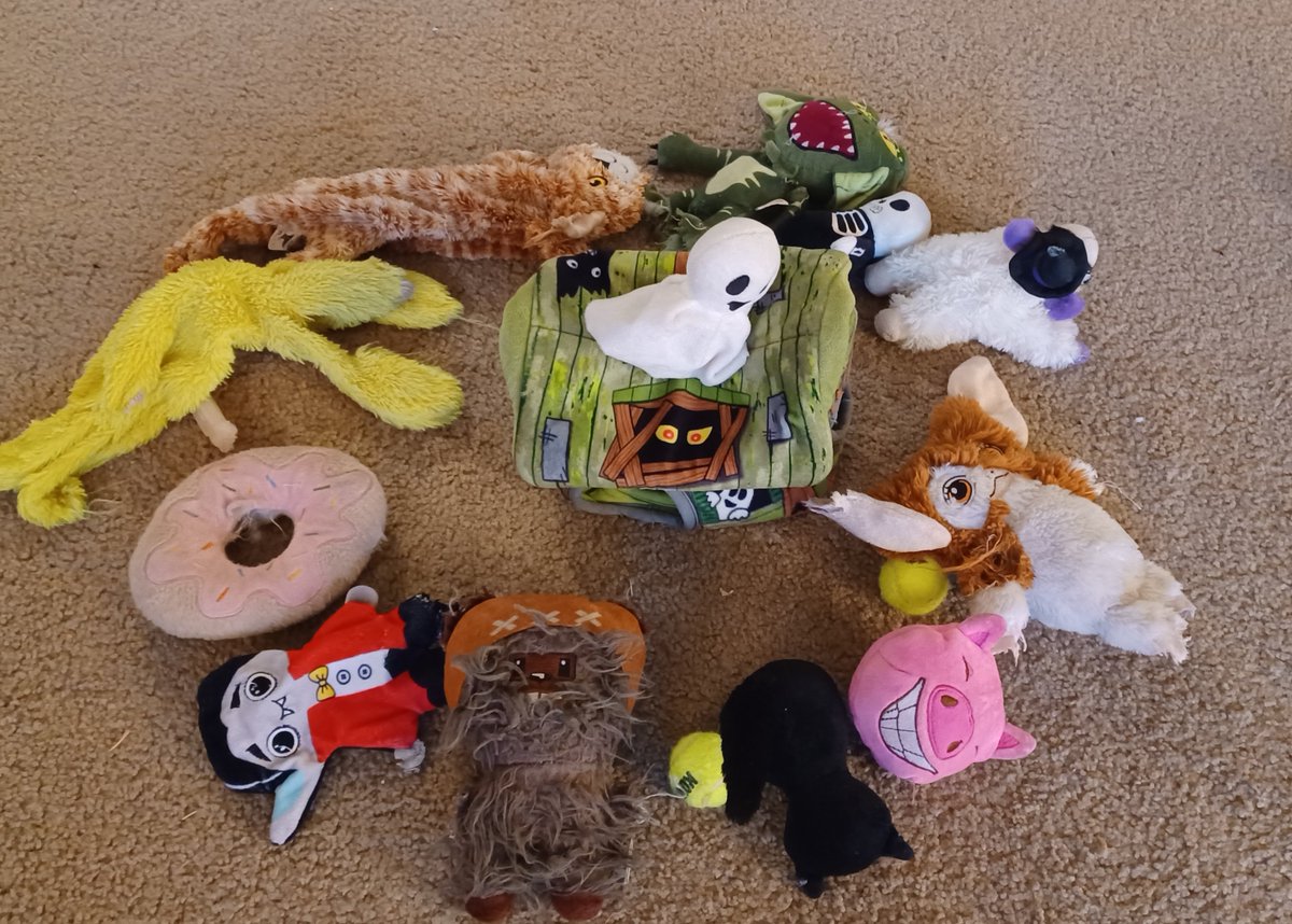 GalGlamorous's tweet photo. I wonder what my dog was trying  to summon... https://t.co/A48BZuc4pd