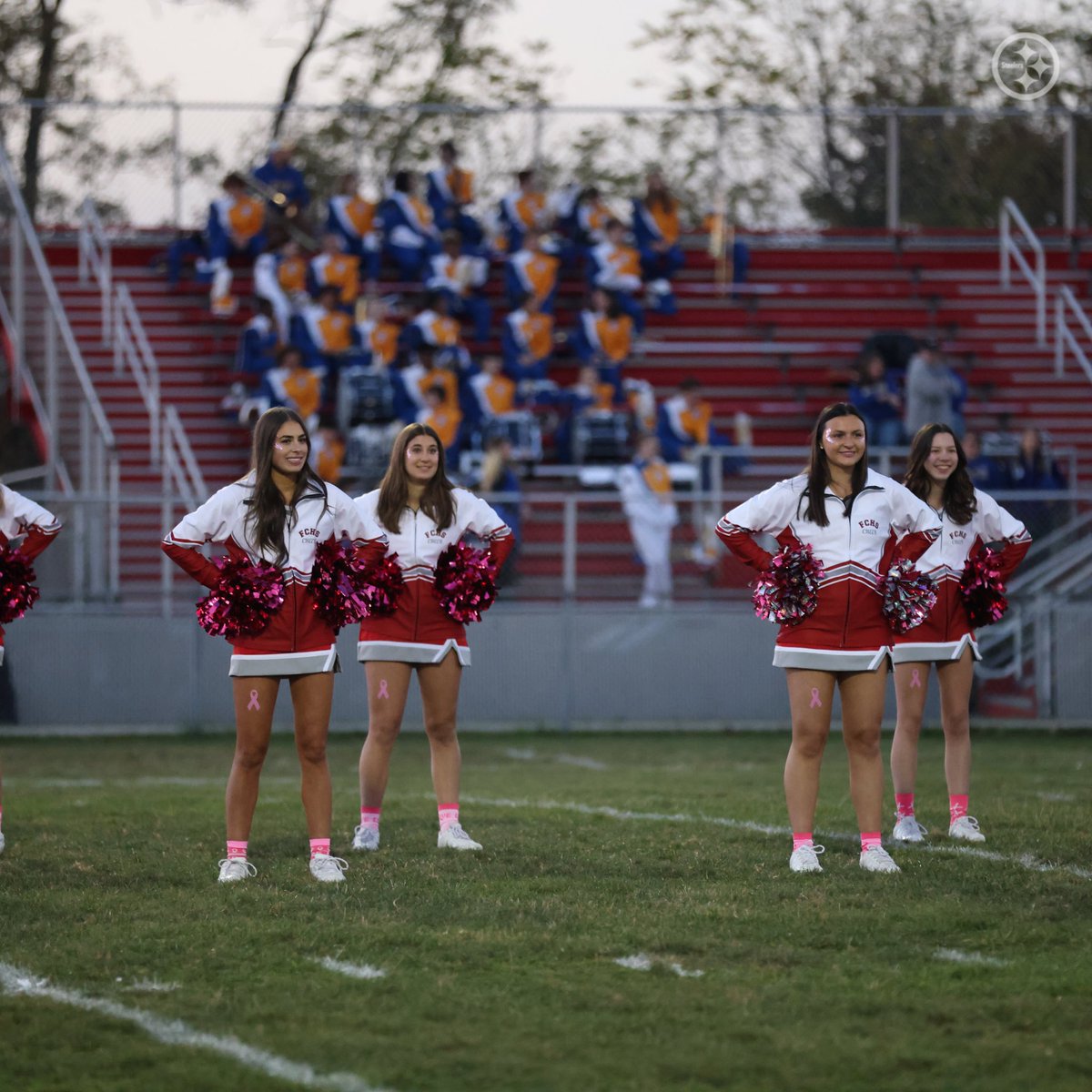 Steelers Youth Football tweet media