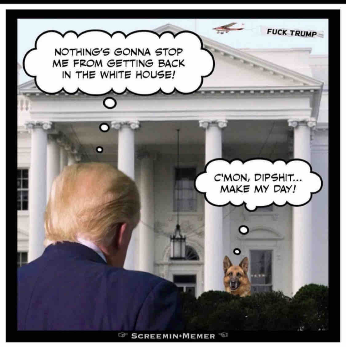 Liberal Resistance tweet media