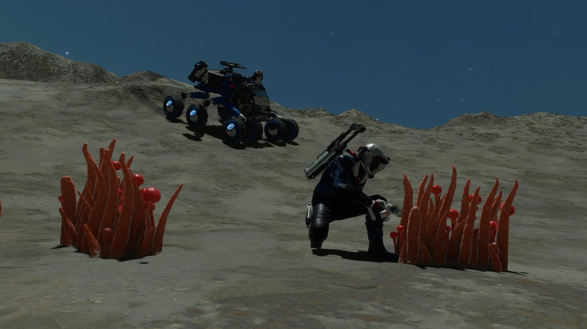 Crux_BR's tweet photo. Fungoida Setisis - Orange @ Phooe Auscs IY-Y c14-0 2 a #ExoBiology @Mission_Calypso
 #EliteDangerous #EliteDangerousOdyssey #StellarScreenshots @EliteDangerous https://t.co/IXnMXxRNnx