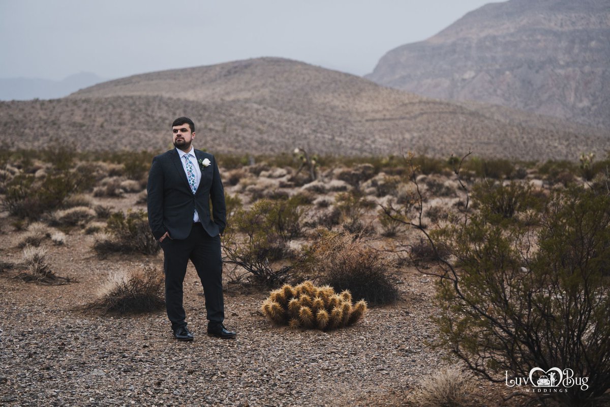 LVLuvBug's tweet photo. Congrats Shelby and Jason on your Cactus Joe's wedding! #wedding #weddingphotographer #outdoorwedding #cactusjoes #microwedding #lasvegaselopement #lasvegaswedding #desertwedding
#luvbugweddings #love https://t.co/NjZsyGwPA4
