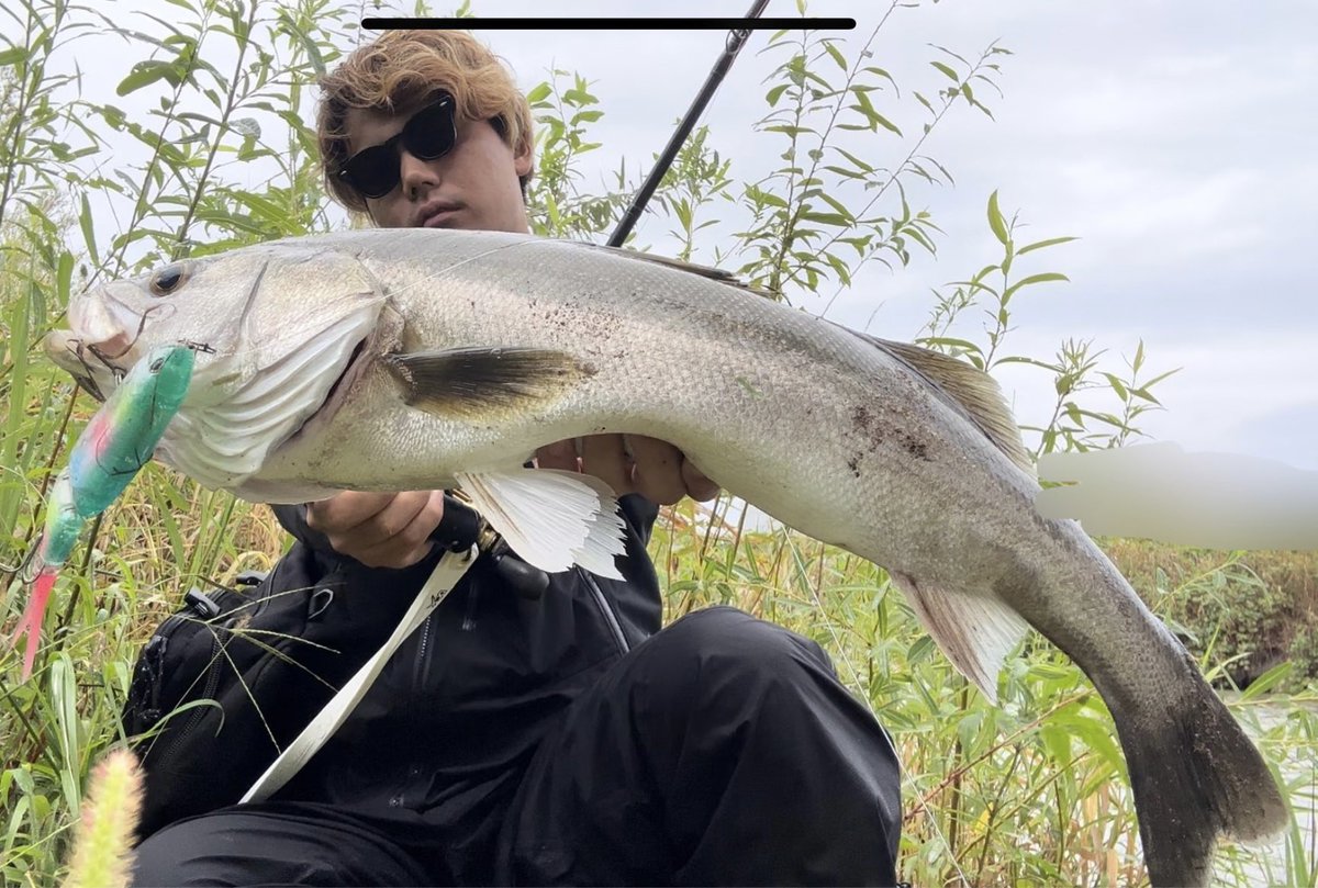 ikebo08's tweet photo. インスタに実釣動画もあるよ！
rod: Monster Impact 91BH 
reel: CALCUTTA CONQUEST 300XG
VARIAL95 EVA KNOB |-FAT 
lure:tiny klash
Nofishboy repaint 
＠AnazawaHayate 
hook: SPEAR-21 SS

bought it seacret https://t.co/y0JgVsTQ1r