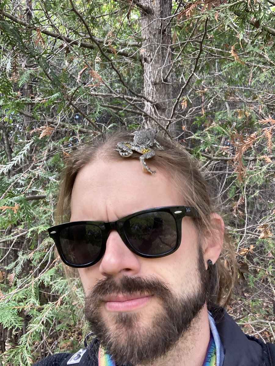 So this happened today…