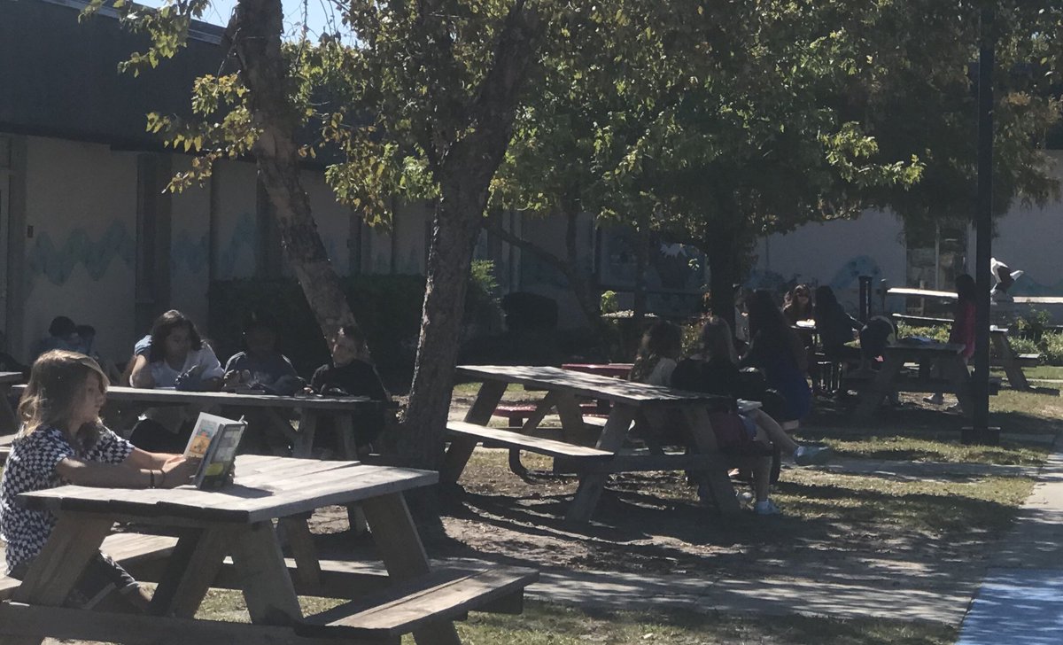 BellamyTweets tweet media